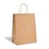 Ecru Kraft bags color big icons
