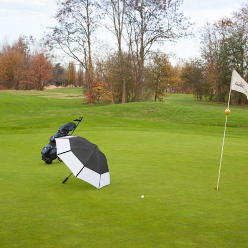 232. golfclassumbrella30inch Photo