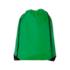 Oriole premium drawstring backpack 5L green