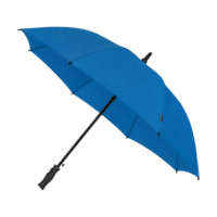 Bleu royal