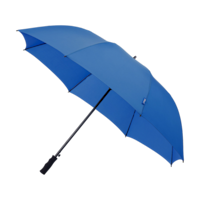 Bleu royal