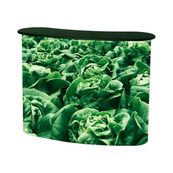 Espositore magnetico