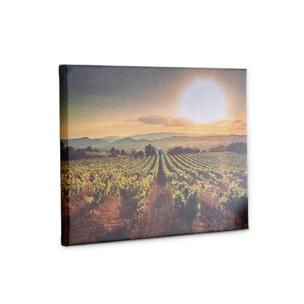 Canvas Photo Print-catalog-image