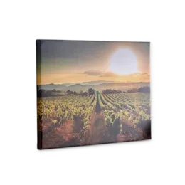 Canvas Photo Print