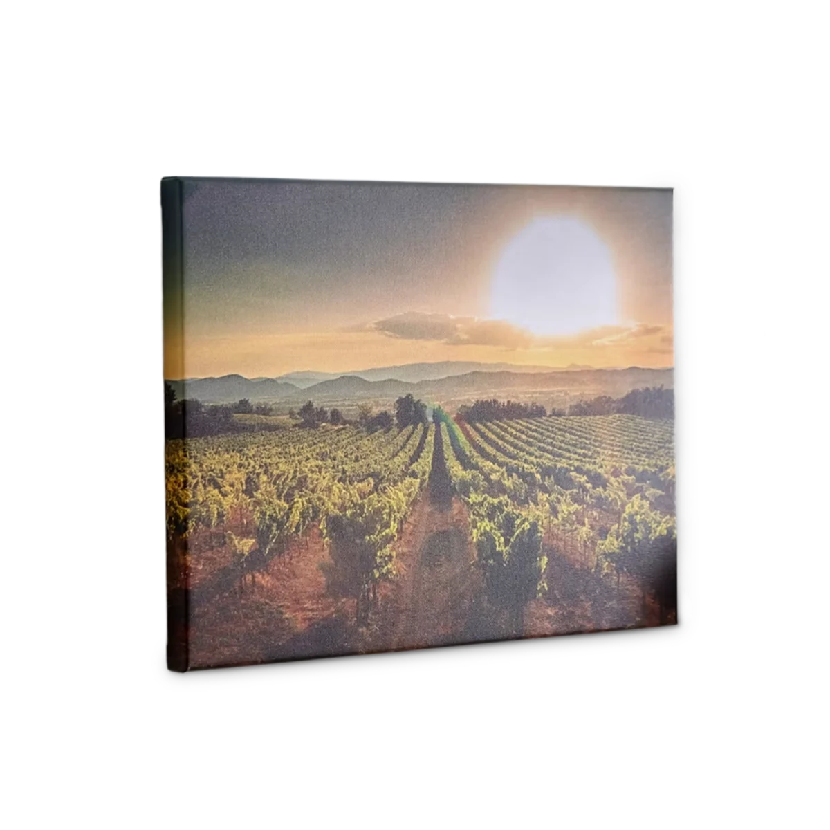 Canvas Photo Print main image