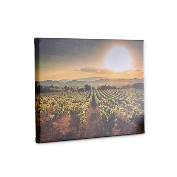Canvas Photo Print