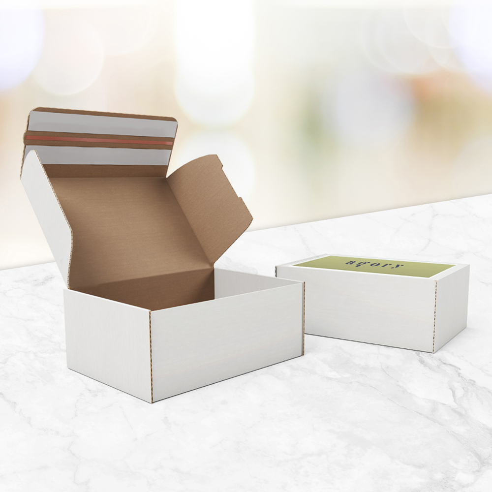 shippingboxwithflapselfsealing PDP Copy 2