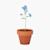 PDP - forgetmenotterracottapotforgetmenot square #F8F8F8 background