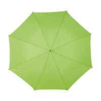 Vert clair