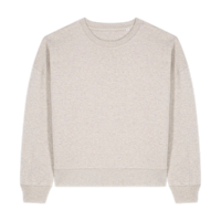 ICON - stanleystellathewomenscrewnecksweatshirt heather_haze