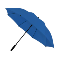 Bleu royal