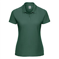 Vert bouteille