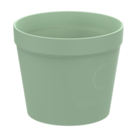 Vert
