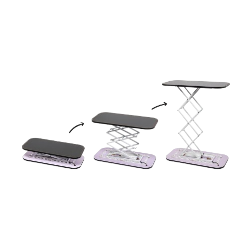 counterbounceup set upremovebg-preview
