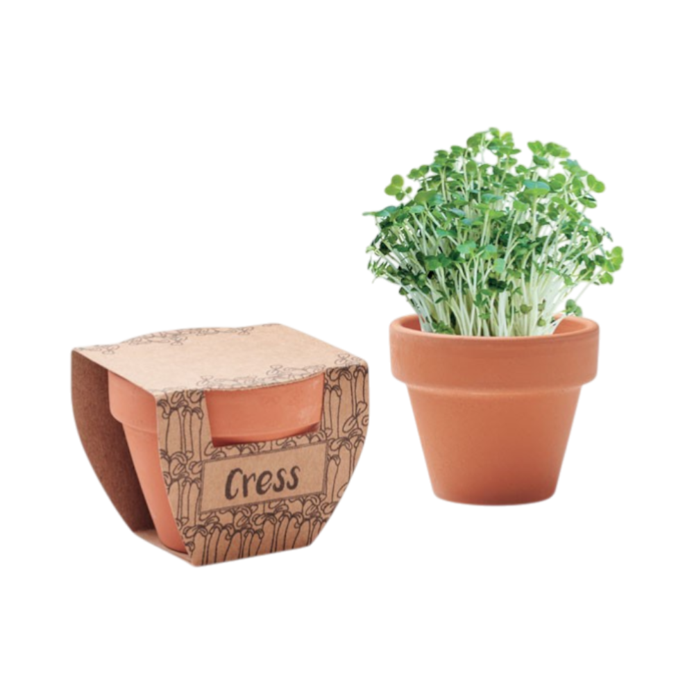 PDP - cresspotterracottapotcressseeds square #00000000 background