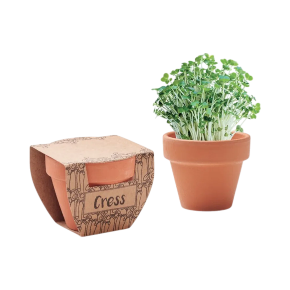 PDP - cresspotterracottapotcressseeds square #00000000 background