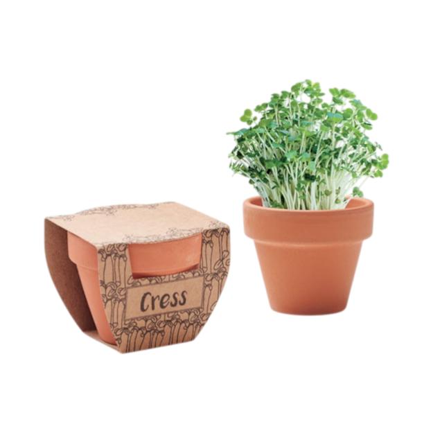 PDP - cresspotterracottapotcressseeds square #00000000 background