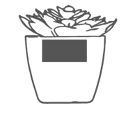 30 x 15 mm - On the Pot
