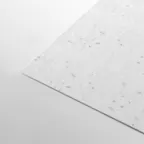 Growing Paper White  150 gsm
