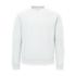 ICON - fruitoftheloomsupercottonsweat white