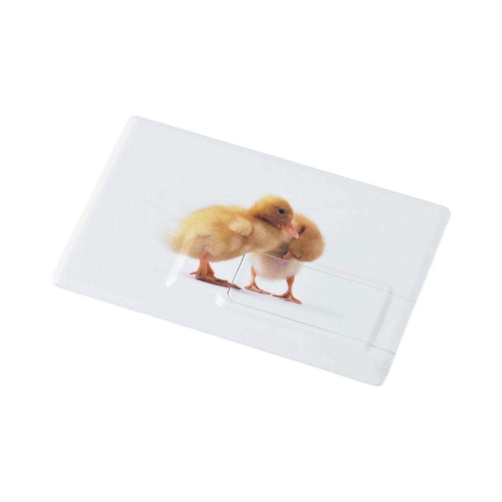MEMORAMA Creditcard USB-stick | HelloPrint