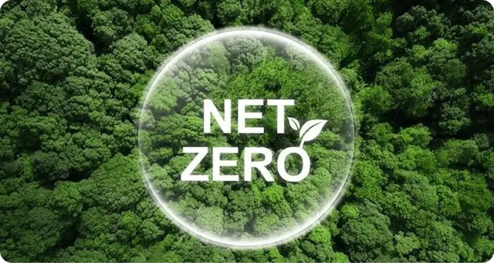 Net Zero in 2030