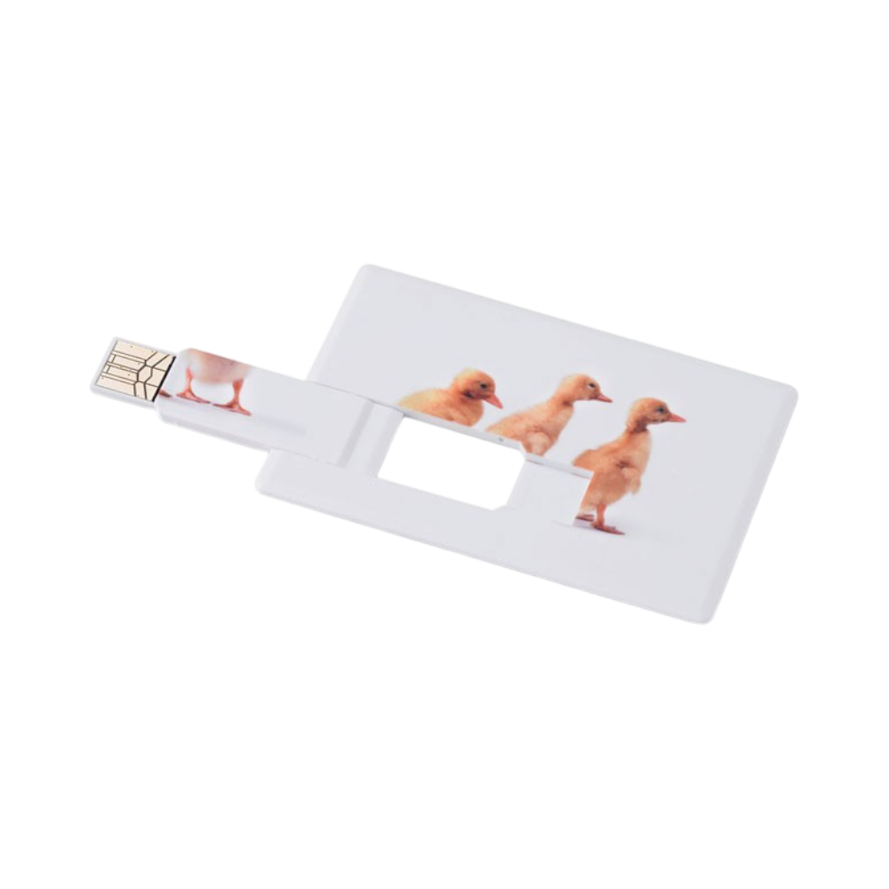 MEMORAMA Creditcard USB Flash Drive | HelloPrint