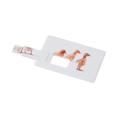 Chiavetta USB a Forma di Carta di Credito Memorama 16GB