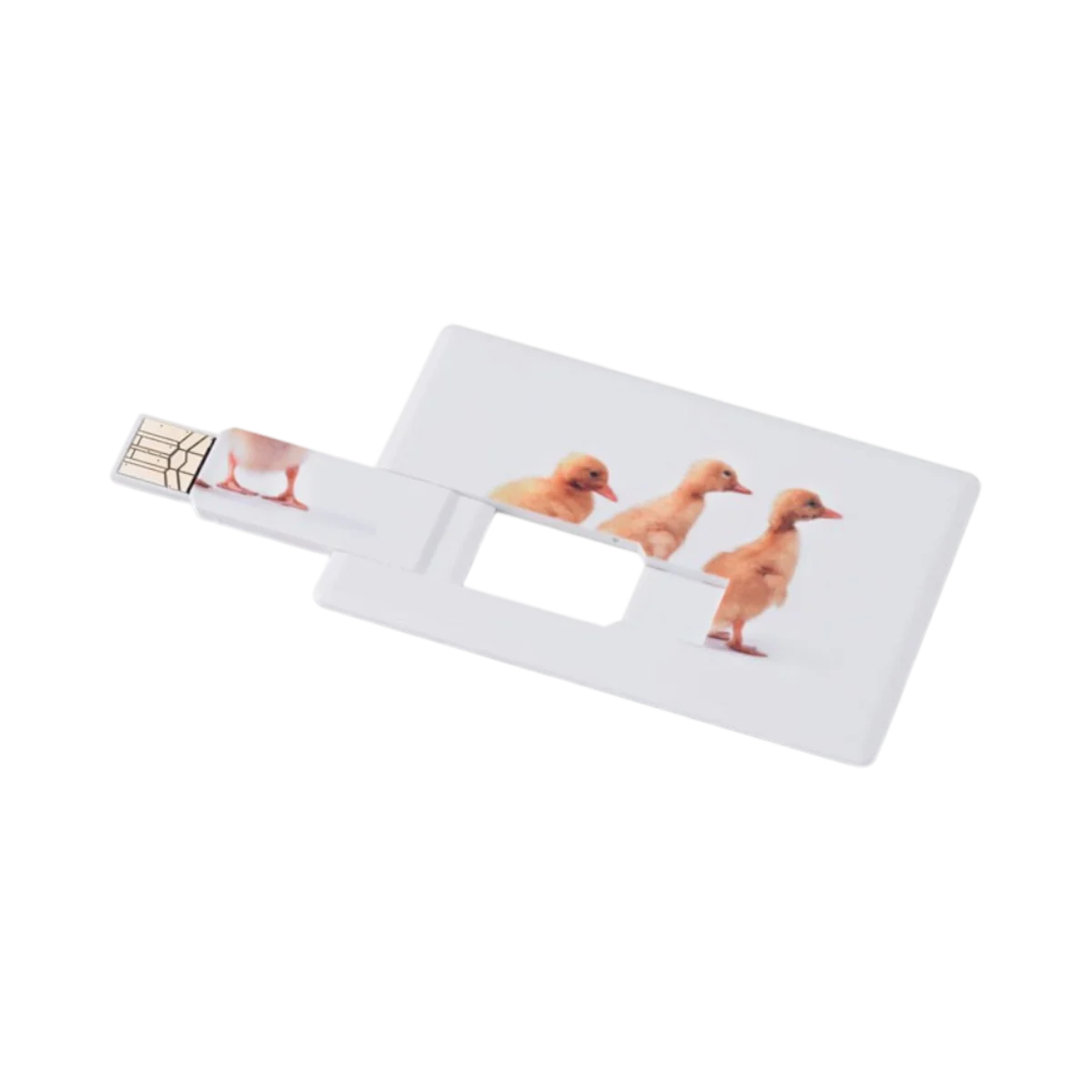 MEMORAMA Creditcard USB Flash Drive 16GB main image