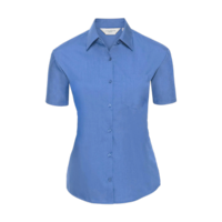 Bleu d'entreprise