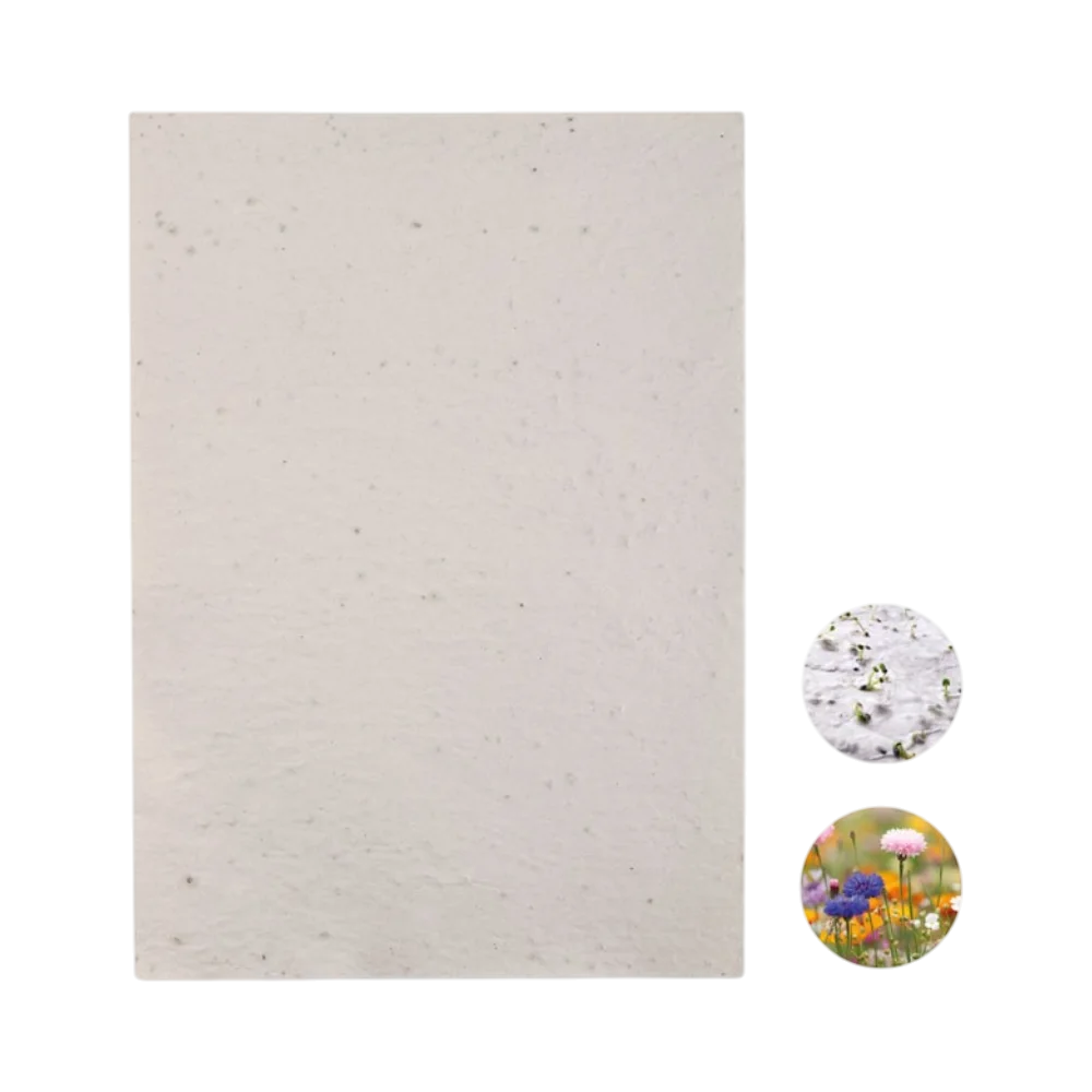 PDP - wildflowerseedpapersheet square #00000000 background