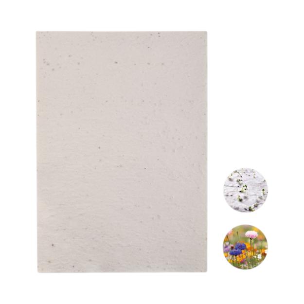 PDP - wildflowerseedpapersheet square #00000000 background