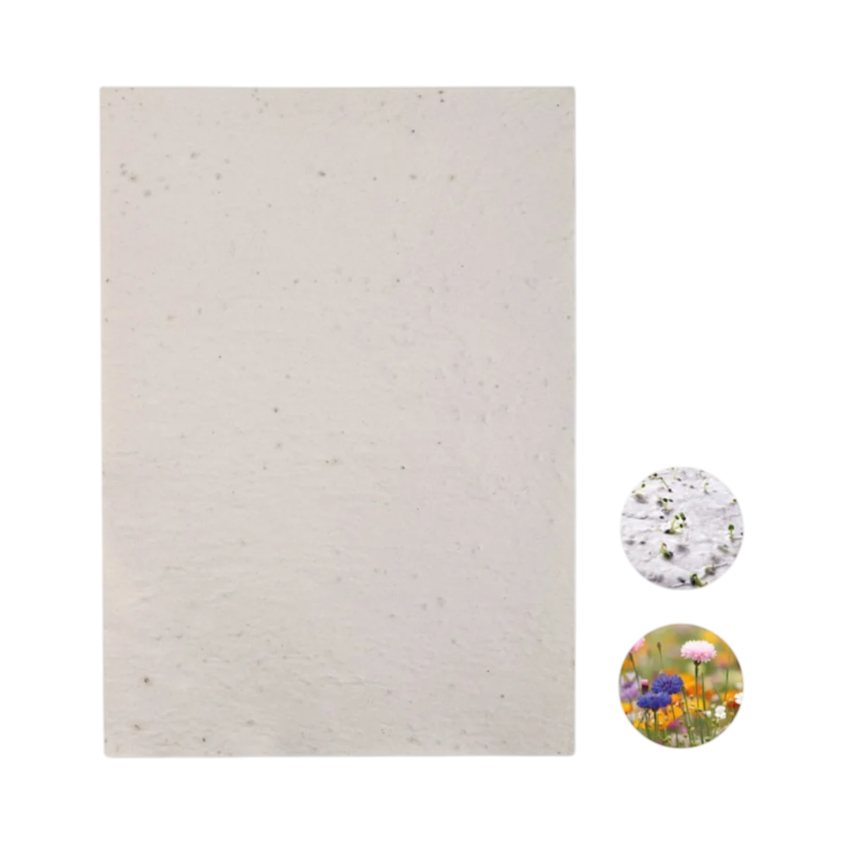 Wildflower Recycled Seed Paper main image