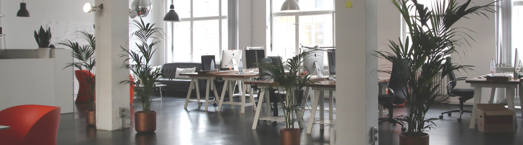 How To Decorate Your Office to Improve Employee Happiness