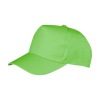 ICON - bostonprinterscap lime