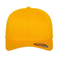 COLOR - flexfitwoolycombedcap - gold