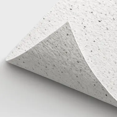 Growing Paper