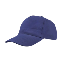 Bleu royal