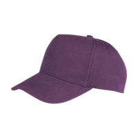 ICON - bostonprinterscap purple