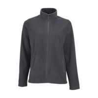 Gris anthracite