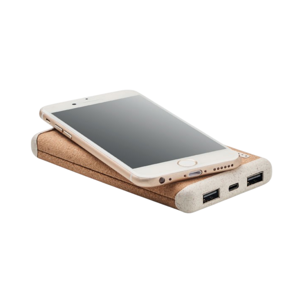 PDP - raliawireless10000mahpowerbank square #00000000 background
