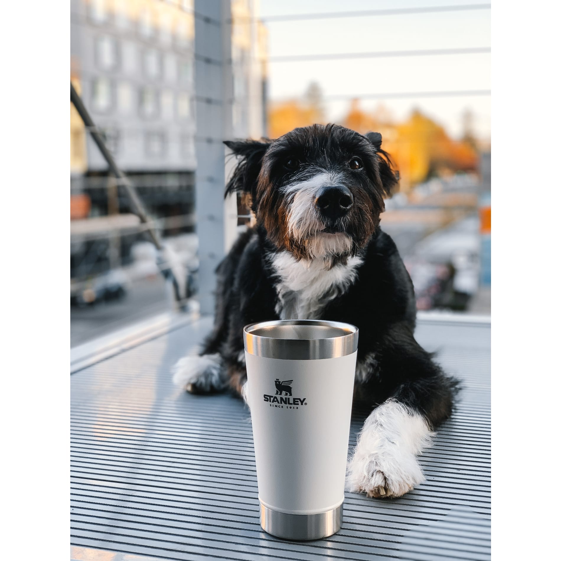 Stanley Stay-Chill Stacking Pint 16 oz-2