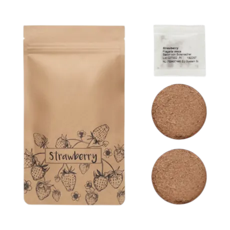 Strawberry Growing Kit