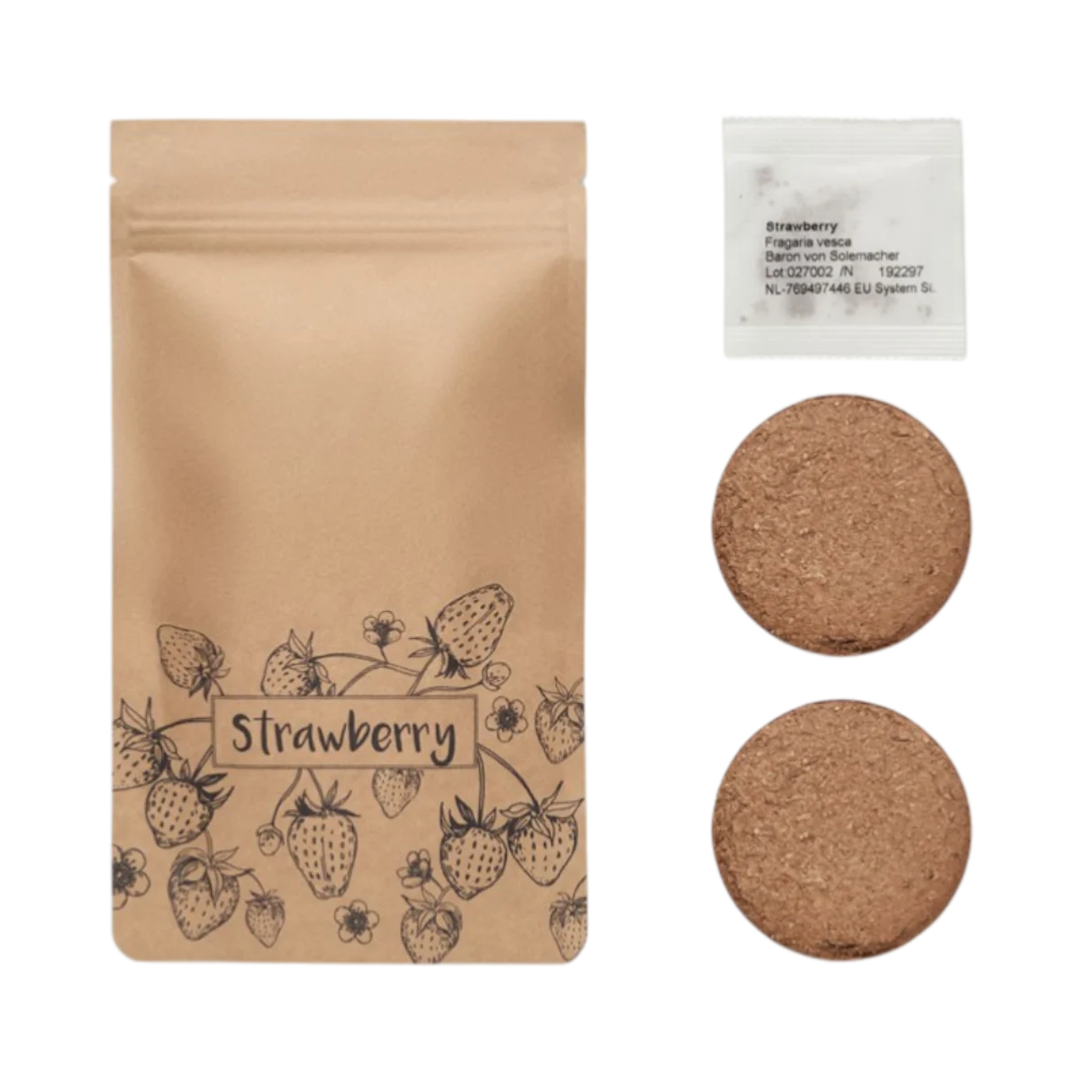 Strawberry Growing Kit main image