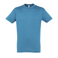 ICON - blue aqua (tshirtsbudgetsols)
