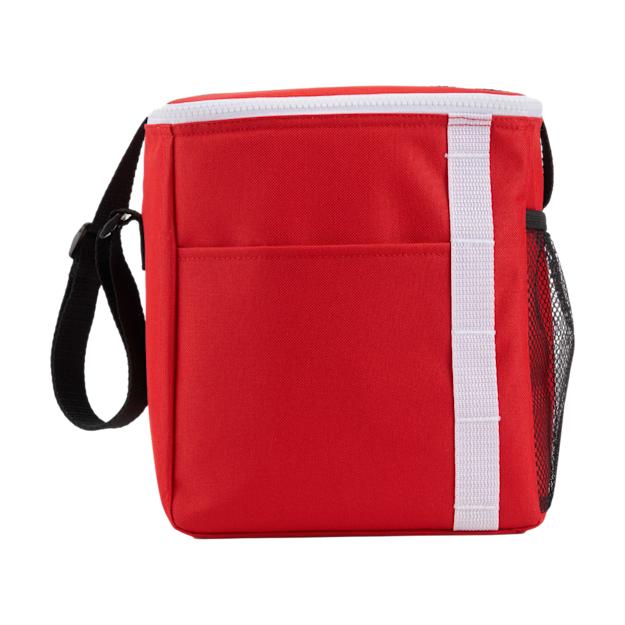 ICON - accentrecycled12canlunchcooler red