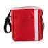 ICON - accentrecycled12canlunchcooler red