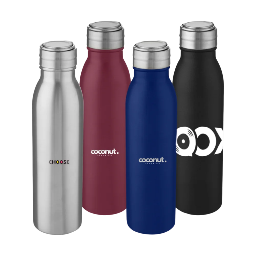 14. Harper 700 ml stainless steel water bottle with metal loop