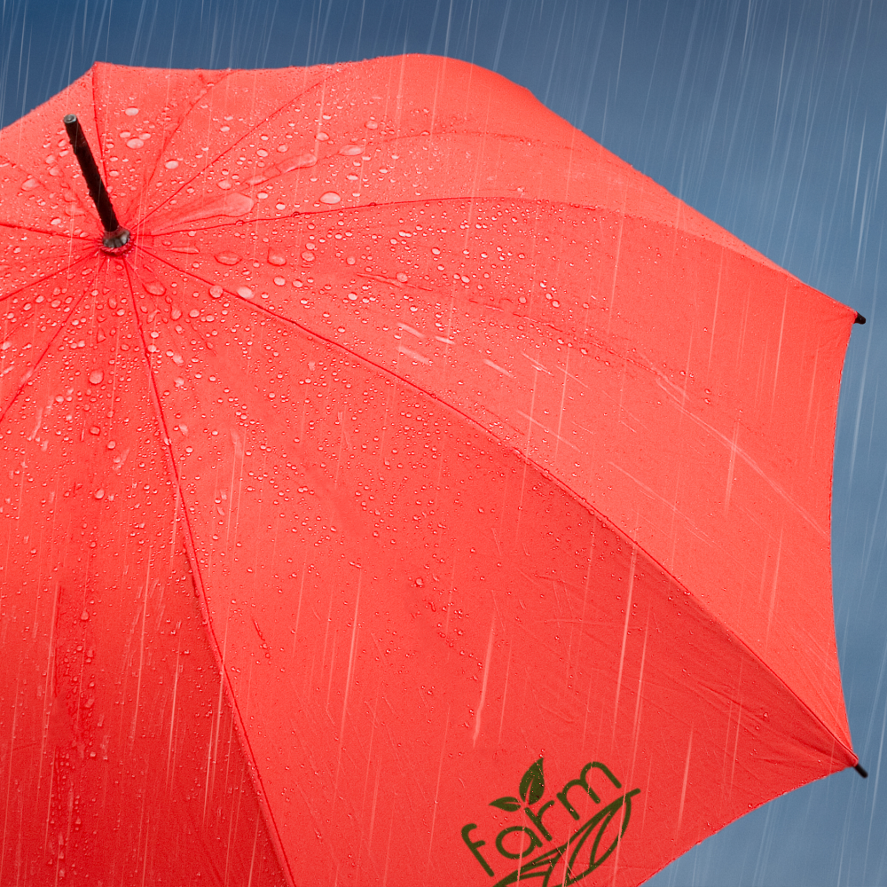 coloradoclassicumbrellaPDP Copy