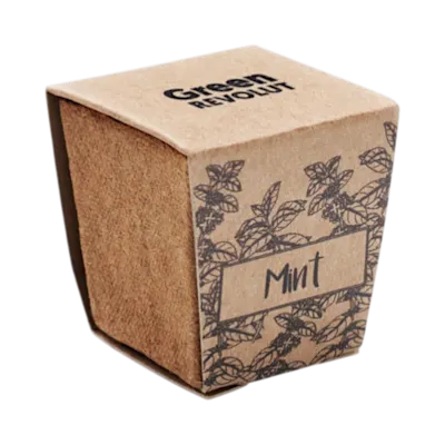 Mint Seeds Growing Kit